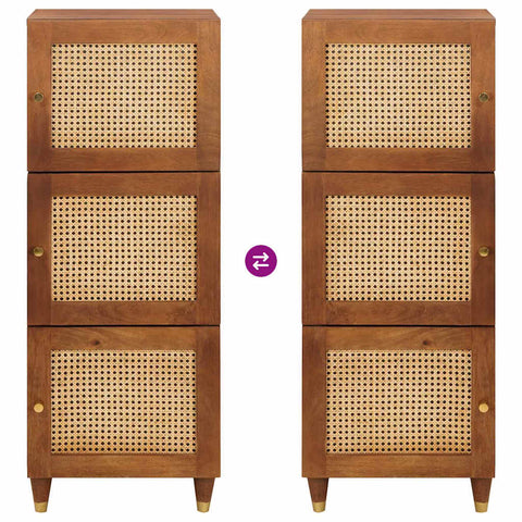 vidaXL High board Brown 40 x 33.5 x 110 cm Cane and solid mango wood