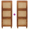 vidaXL High board Brown 40 x 33.5 x 110 cm Cane and solid mango wood