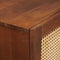 vidaXL Media Storage Cabinets & Racks Brown 60 x 33.5 x 100 cm