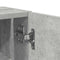 vidaXL Bathroom Cabinet with Roll Holder Concrete Grey 20.5x22x72 cm
