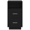 vidaXL Bedside Cabinets 2 pcs with 2 Drawers Black 36x36x68 cm