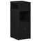 vidaXL Bedside Cabinet with Drawer Black 25x31x66 cm