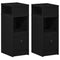 vidaXL Bedside Cabinets 2 pcs with Drawer Black 25x31x66 cm