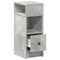 vidaXL Bedside Cabinets 2 pcs with Drawer Concrete Grey 25x31x66 cm