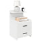 vidaXL Bedside Cabinet with 2 Drawers White 40x36.5x62 cm