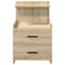 vidaXL Bedside Cabinets 2 pcs with 2 Drawers Sonoma Oak 40x36.5x62 cm