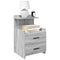 vidaXL Bedside Cabinets 2 pcs with 2 Drawers Grey Sonoma 40x36.5x62 cm