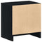 vidaXL Bedside Cabinets 2 pcs with Drawer Black 39x28x41 cm