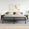 vidaXL Bedside Cabinets 2 pcs with 2 Drawers Black 40x36x50 cm