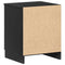 vidaXL Bedside Cabinets 2 pcs with 2 Drawers Black 40x36x50 cm