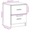 vidaXL Bedside Cabinets 2 pcs with 2 Drawers Smoked Oak 40x36x50 cm