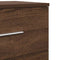 vidaXL Bedside Cabinets 2 pcs with 2 Drawers Brown Oak 40x36x50 cm