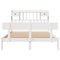 vidaXL Bookcase Bed without Mattress White 160x200 cm Solid Wood Pine