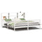 vidaXL Bookcase Bed without Mattress White 200x200 cm Solid Wood Pine