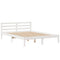 vidaXL Bookcase Bed without Mattress White 150x200 cm King Size Solid Wood Pine