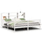 vidaXL Bookcase Bed without Mattress White 180x200 cm Super King Solid Wood Pine