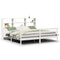 vidaXL Bookcase Bed without Mattress White 200x200 cm Solid Wood Pine