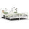 vidaXL Bookcase Bed without Mattress White 200x200cm Solid Wood Pine