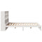 vidaXL Bookcase Bed without Mattress White 160x200cm Solid Wood Pine