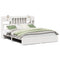 vidaXL Bookcase Bed without Mattress White 180x200cm Super King Solid Wood Pine