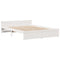 vidaXL Bookcase Bed without Mattress White 135x190cm Double Solid Wood Pine