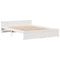 vidaXL Bookcase Bed without Mattress White 120x200cm Solid Wood Pine