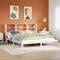 vidaXL Bookcase Bed without Mattress White 200x200cm Solid Wood Pine