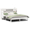 vidaXL Bookcase Bed without Mattress White 180x200cm Solid Wood Pine