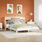 vidaXL Bookcase Bed without Mattress White 180x200cm Solid Wood Pine