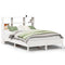 vidaXL Bookcase Bed without Mattress White 120x200 cm Solid Wood Pine