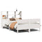 vidaXL Bookcase Bed without Mattress White 160x200cm Solid Wood Pine
