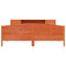 vidaXL Bookcase Bed without Mattress Wax Brown 200x200cm Solid Wood Pine