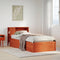 vidaXL Bed Frame without Mattress Wax Brown 100x200 cm Solid Wood Pine