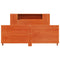 vidaXL Bed Frame without Mattress Wax Brown 150x200 cm King Size Solid Wood Pine