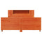 vidaXL Bed Frame without Mattress Wax Brown 160x200 cm Solid Wood Pine