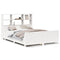 vidaXL Bookcase Bed without Mattress White 120x190 cm Small Double Solid Wood