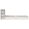 vidaXL Bookcase Bed without Mattress White 100x200 cm Solid Wood