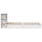 vidaXL Bookcase Bed without Mattress White 90x190 cm Single Solid Wood