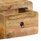 vidaXL Wall-mounted TV Cabinet 100x32x25 cm Solid Wood Rough Mango