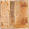 vidaXL End Tables with Shelf Brown 40 x 40 x 49 cm Solid mango wood