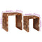 vidaXL End Tables Multicolour Solid reclaimed wood