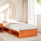 vidaXL Day Bed without Mattress Wax Brown 100x200 cm Solid Wood Pine