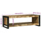 vidaXL Coffee Table Brown 120 x 50 x 38 cm Solid rough mango wood