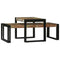 vidaXL Coffee Table 2 pcs Multicolour Solid reclaimed wood
