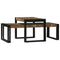 vidaXL Coffee Table 2 pcs Multicolour Solid reclaimed wood