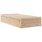 vidaXL Bookcase Bed without Mattress 100x200cm Solid Wood Pine