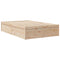 vidaXL Bookcase Bed without Mattress 120x190cm Solid Wood Pine