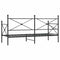 vidaXL Day Bed without Mattress Black 80x200 cm Steel