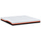 vidaXL Mattresses White, Grey 200 x 200 cm