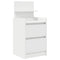 vidaXL Bedside Cabinets with 2 Drawers 2 pcs White 38x34x80 cm